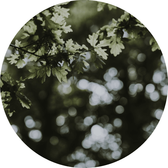 h1_img-1